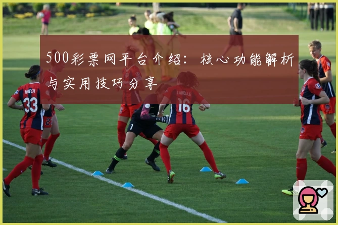 500彩票网平台介绍：核心功能解析与实用技巧分享